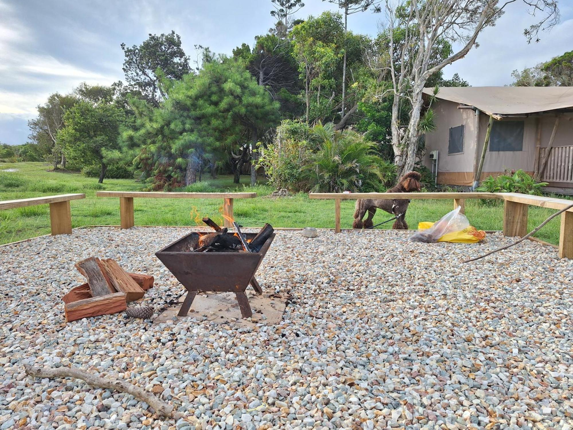 Ballina Beach Nature Resort المظهر الخارجي الصورة